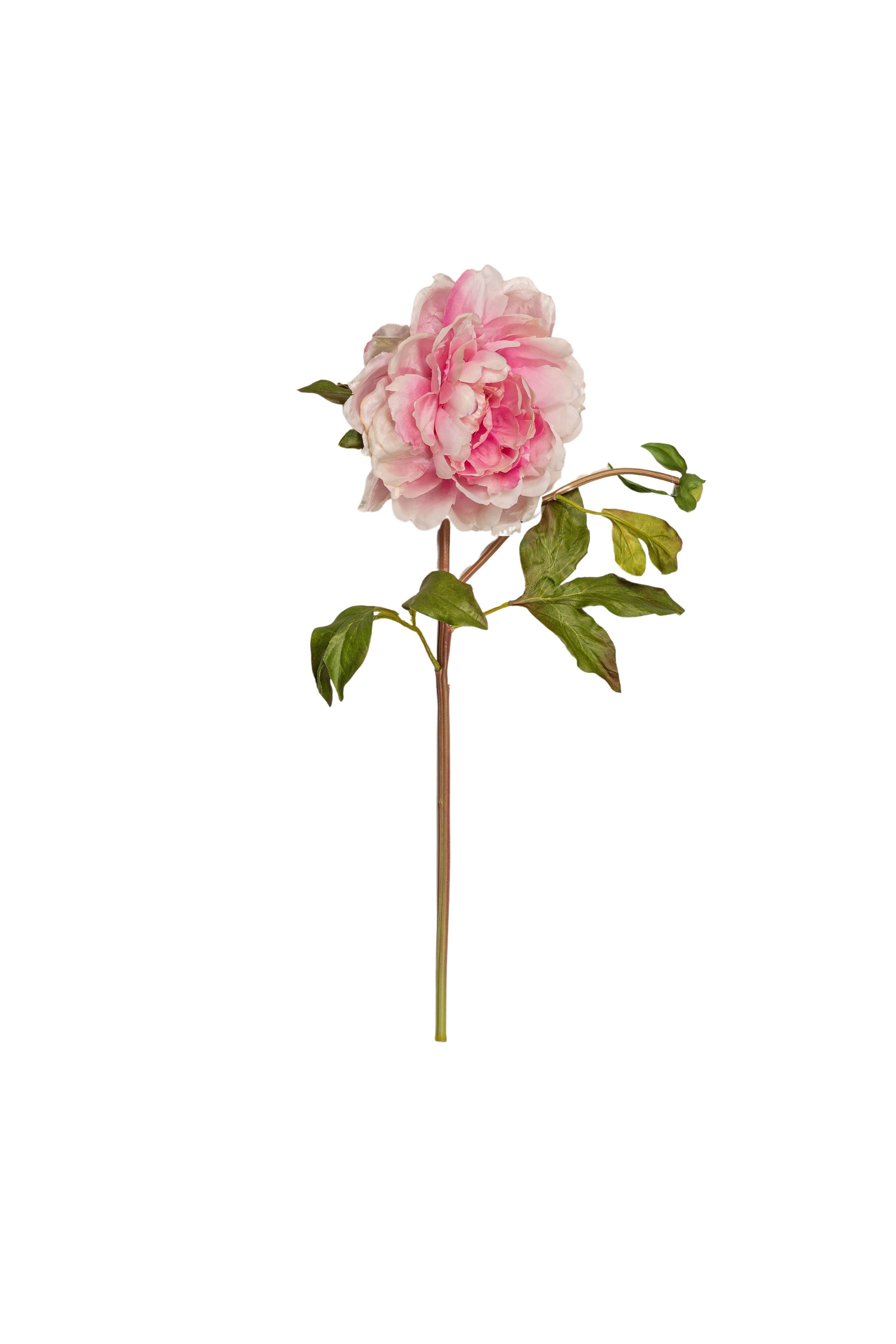 Artificial Pink Classic Peony