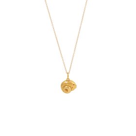 Gold Periwinkle Shell Necklace