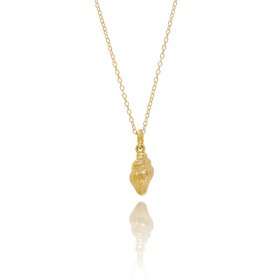 Gold Dainty Shell Necklace