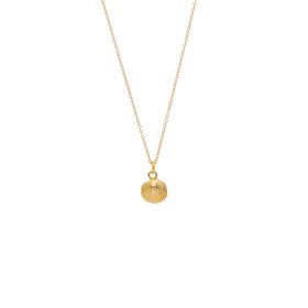 Gold Cockle Shell Necklace