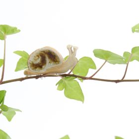 Sidney Snail Plant Hugger Decoration