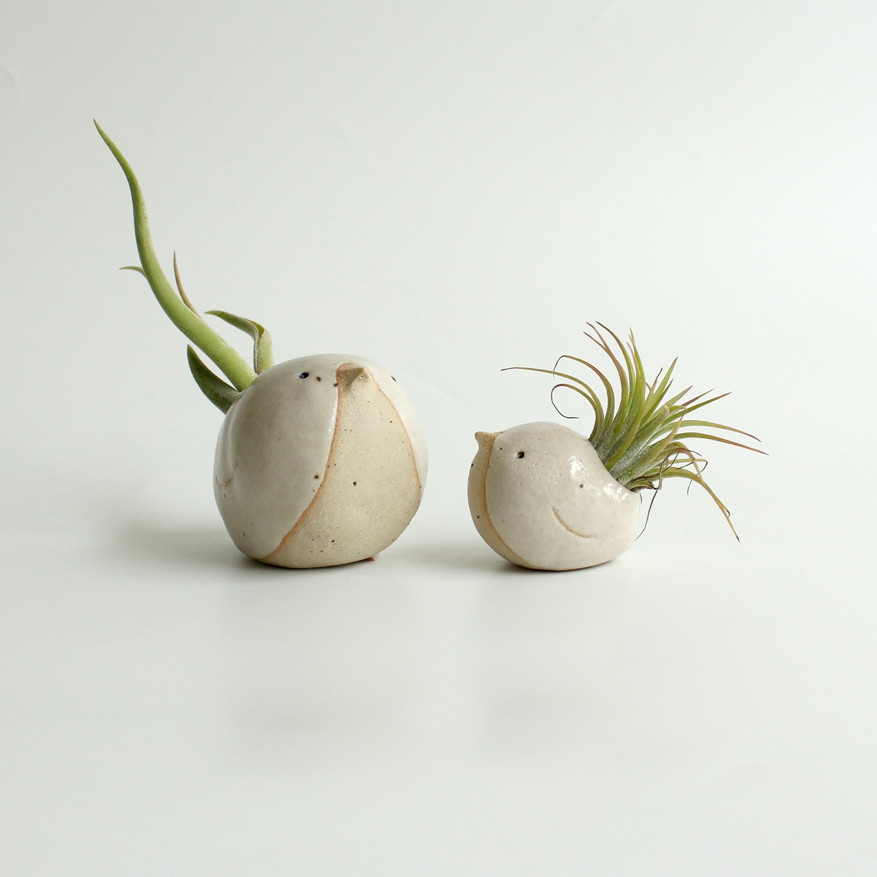 Ceramic Bird Airplant Holder White