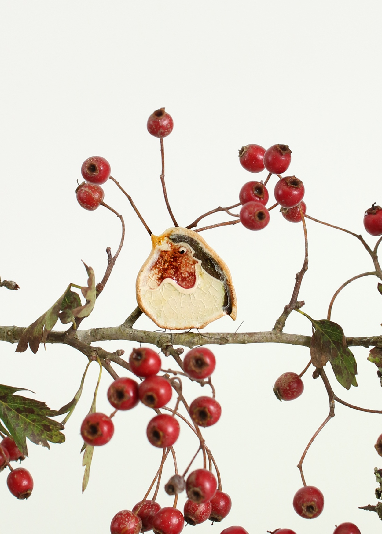 Rachel the Robin – Handmade Ceramic Plant Hugger Decoration