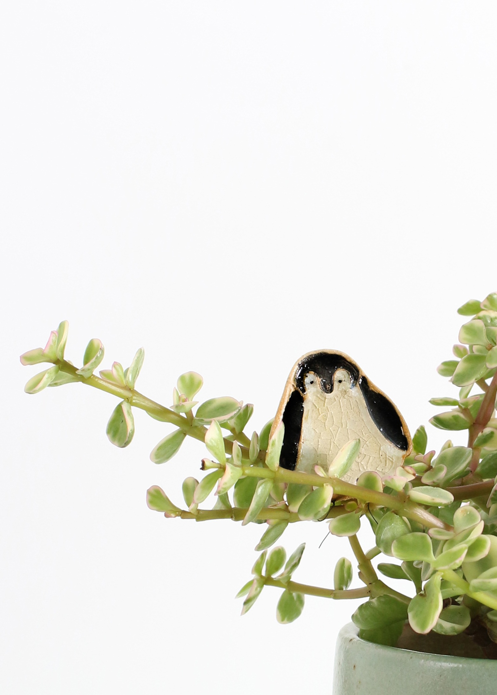 Paul the Penguin – Handmade Ceramic Plant Hugger