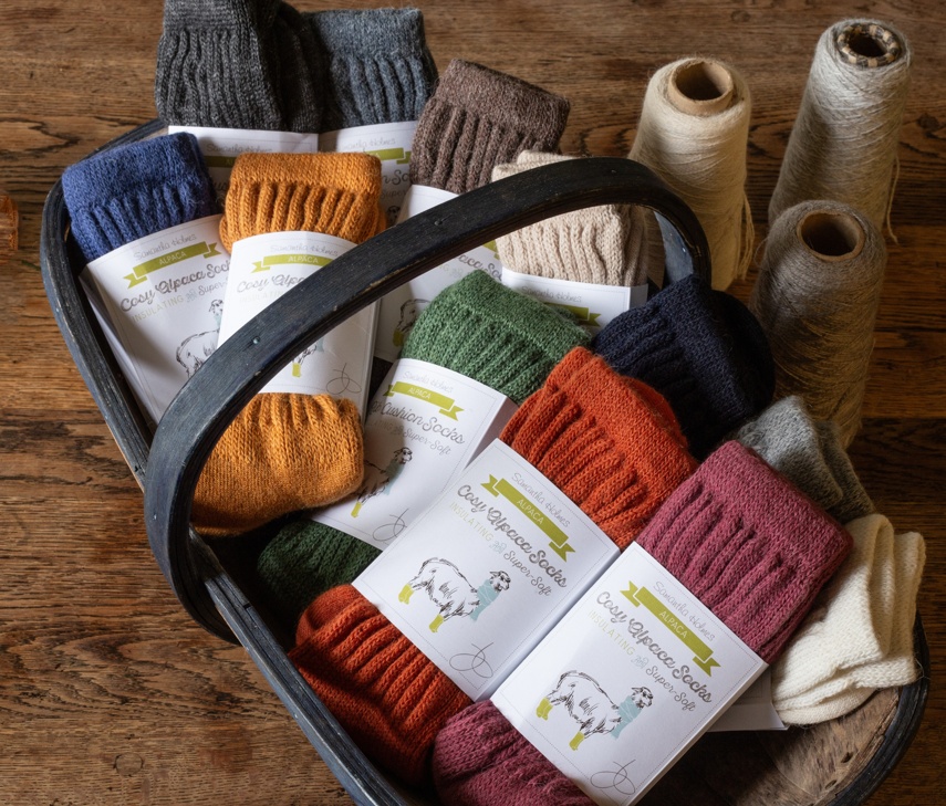 Colourful Alpaca Lounge Socks