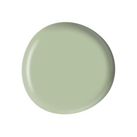 PAINT SPLODGE WILLOW