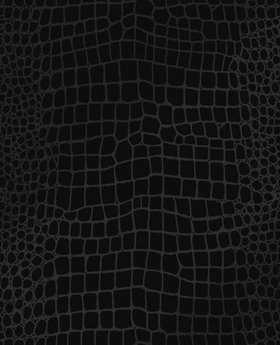 CROCODILE NOIR (SHEEN)
