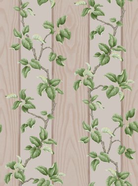 Graham & Brown x Kate Berry Climbing Branches Clay Wallpaper