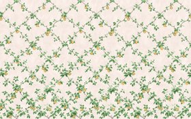 Graham & Brown x Kate Berry Gem Espalier Clay Bespoke Mural