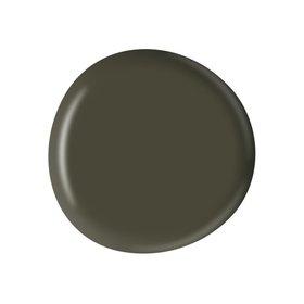 COTSWOLD MOSS PAINT