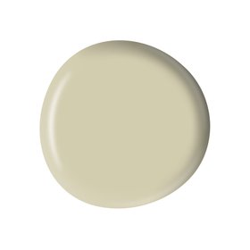 LITTLE GEM PAINT