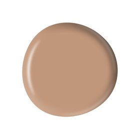 TOASTED ALMOND PAINT