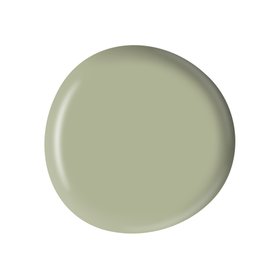VETIVER PAINT