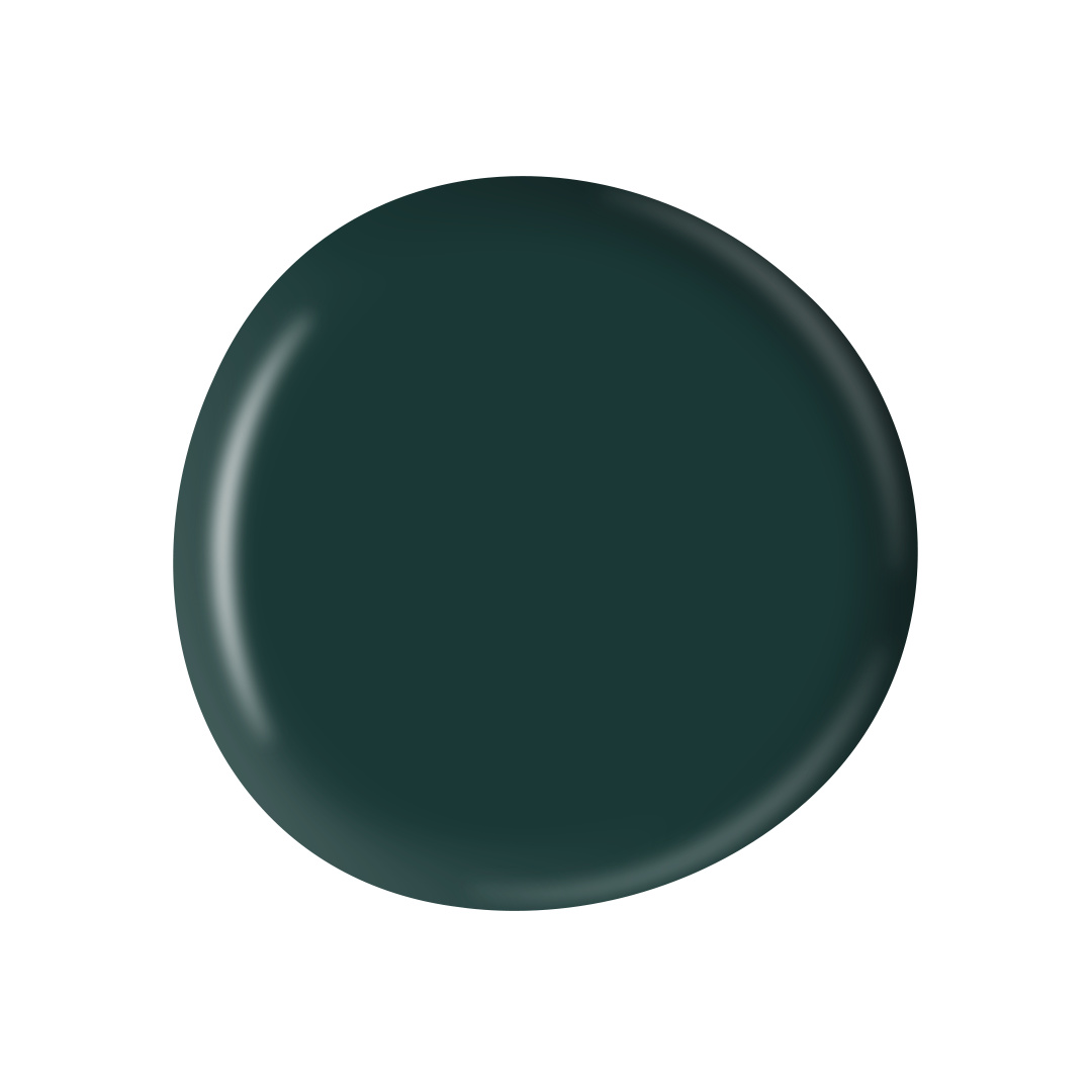 PAINT SPLODGE PETROL