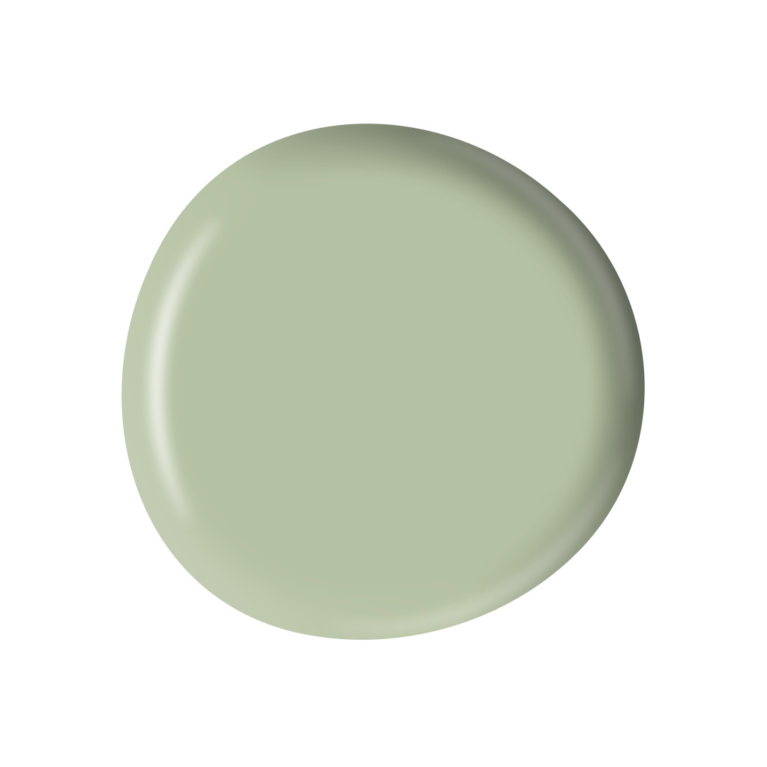 PAINT SPLODGE WILLOW