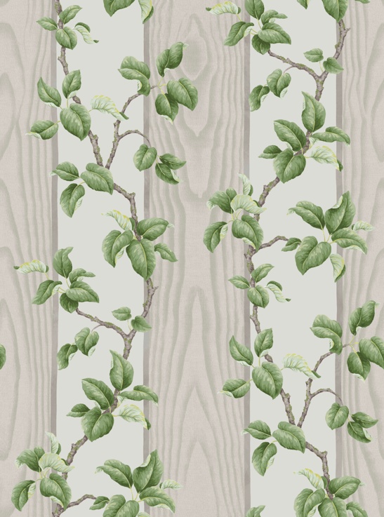 Graham & Brown x Kate Berry Climbing Branches Moon Wallpaper