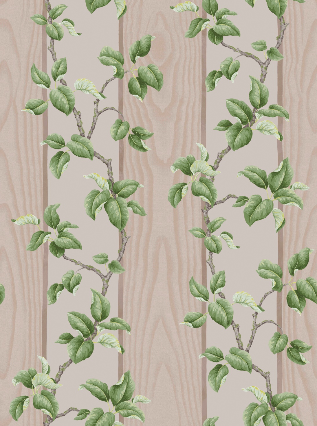 Graham & Brown x Kate Berry Climbing Branches Clay Wallpaper