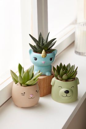 Verve Animal Succulent Pots Assorted 6cm Large