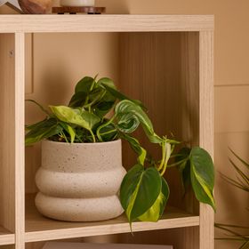 Verve Cream Ceramic Plant pot