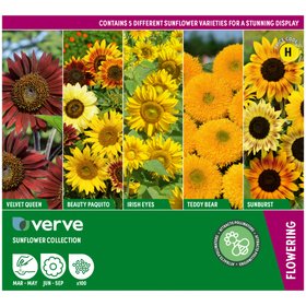 Verve Sunflower Collection Seeds