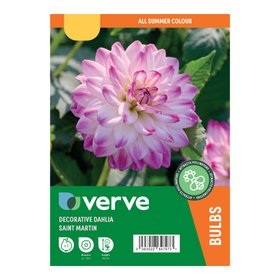 Dahlia Decorative Saint Martin Flower bulb
