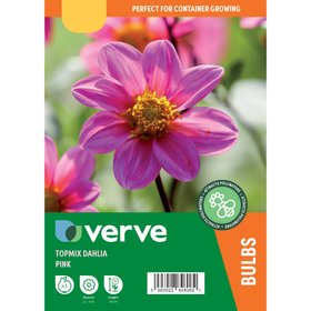 Dahlia Topmix Pink Flower bulb
