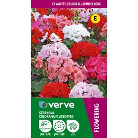 Verve Colorama Assorted F2 Geranium Seeds