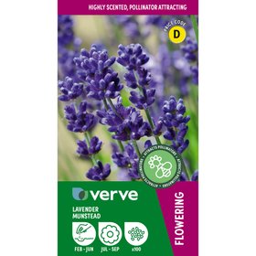 Verve Munstead Lavender Seeds