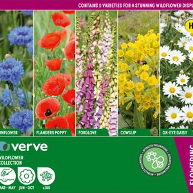 Verve Wildflower Collection Seeds