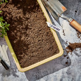 Verve Plastic Plant labels, Pack of 50 Verve Plastic Plant labels, Pack of 50 Verve Plastic Plant labels, Pack of 50 Verve Plastic Plant labels, Pack of 50 Verve Plastic Plant labels, Pack of 50 Verve Plastic Plant labels, Pack of 50 Verve Plastic Plant l