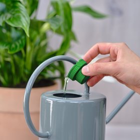 Verve Liquid Houseplant Plant feed, 180ml