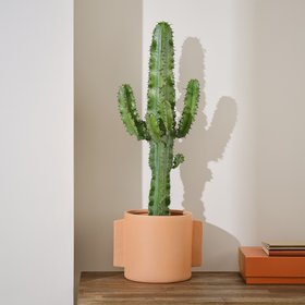 Verve Cowboy cactus in Terracotta Ceramic Decorative pot