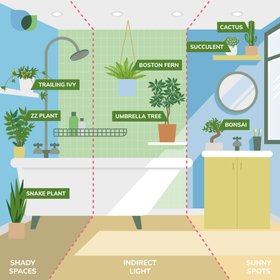 Verve Bathroom houseplant guide