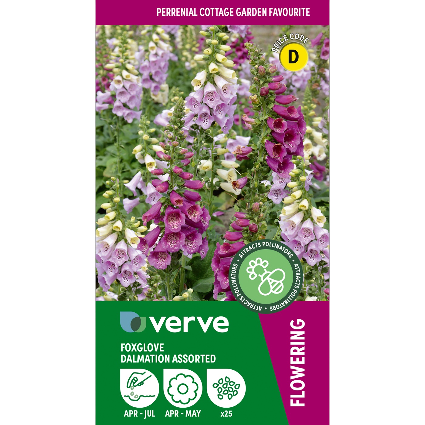 Verve Flowering Seeds Dalmation Assorted Foxglove Seed 25 Pack