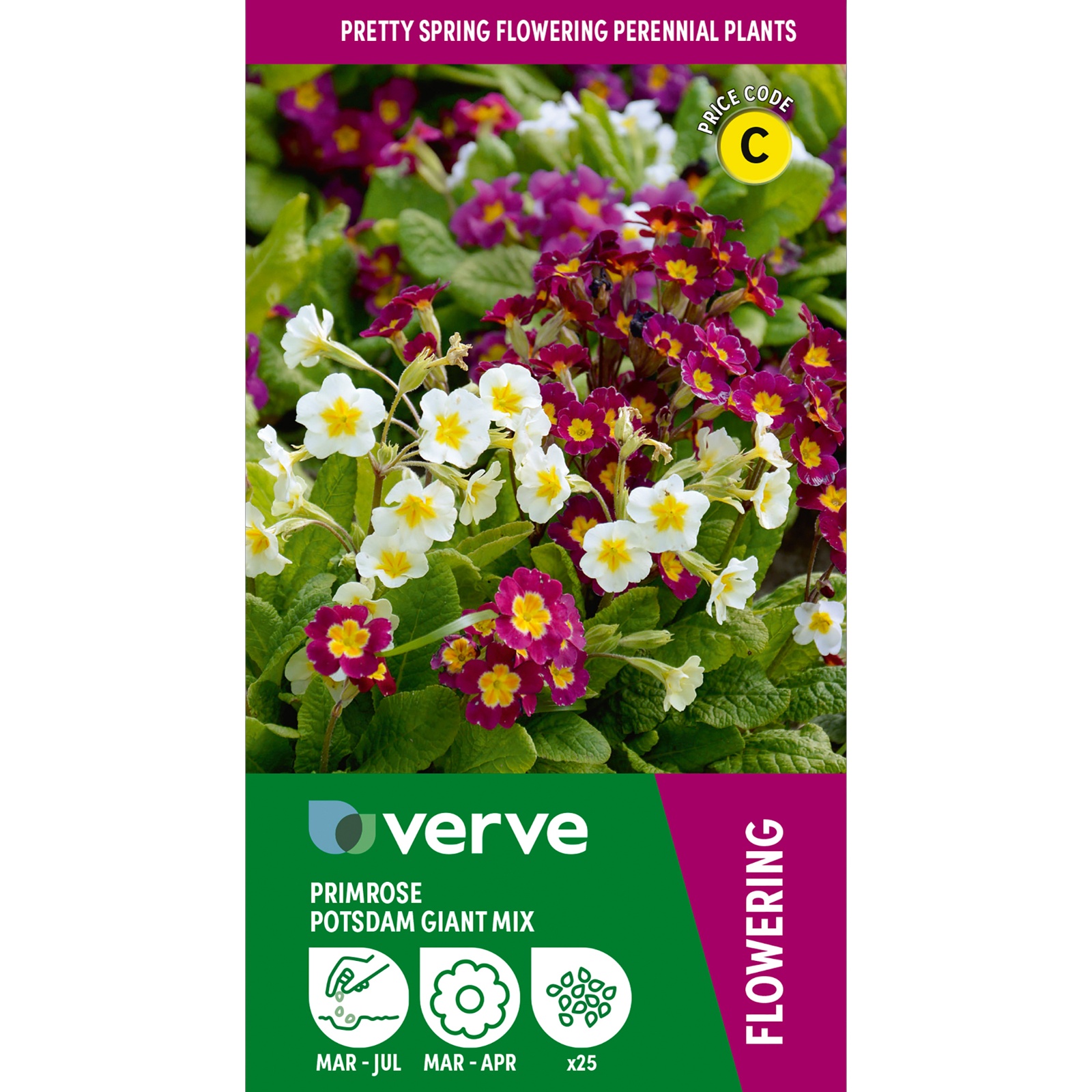 Verve Potsdam Giant Mix Primrose Seeds