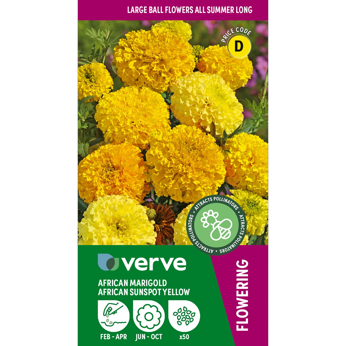 Verve African Sunspot Yellow Marigold Flower Seeds