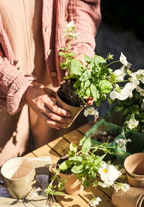Brimpsfield 2 Seater Folding Bistro Set