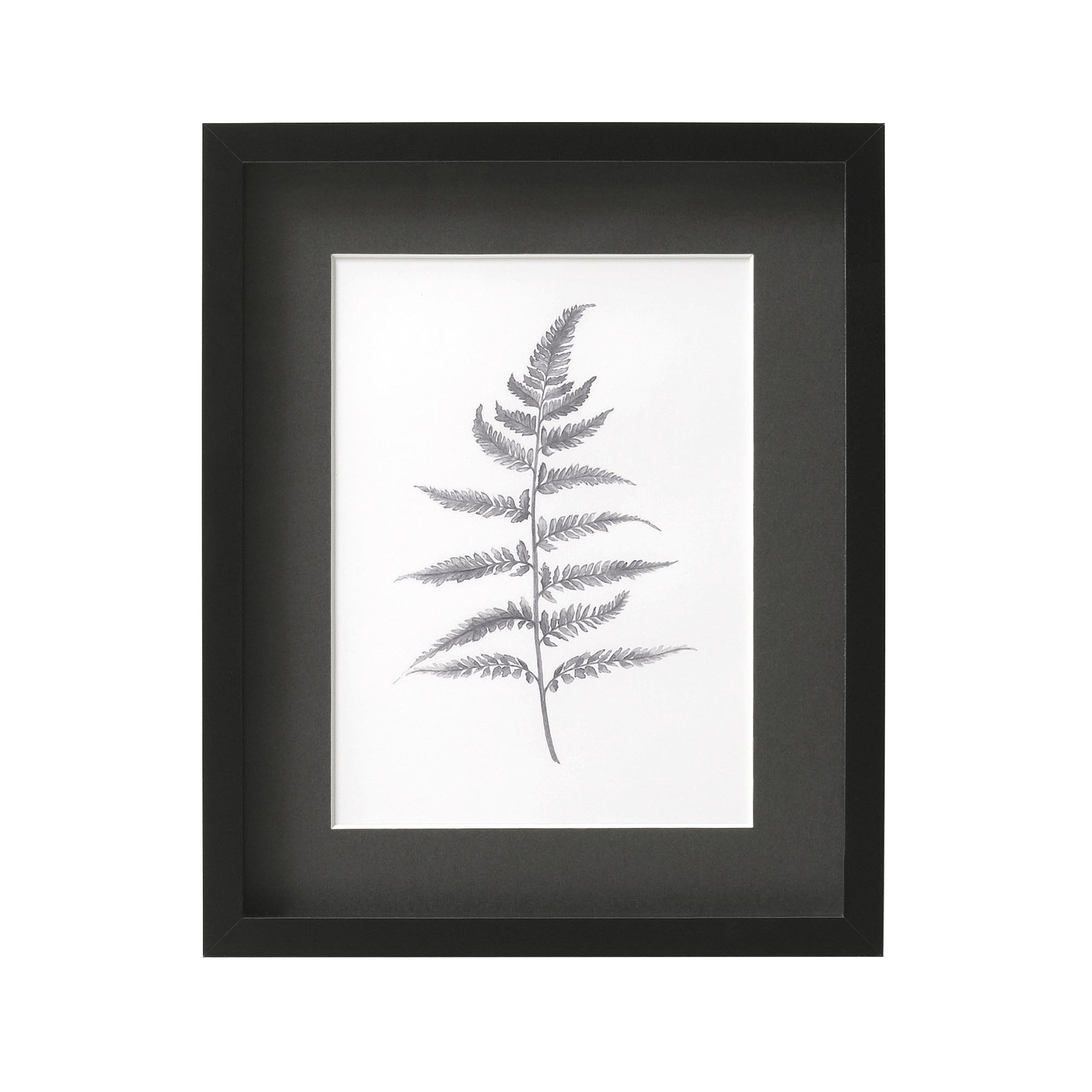 Lynsey Dorman Botanic Detail II Small Wall Art (26x32cm)