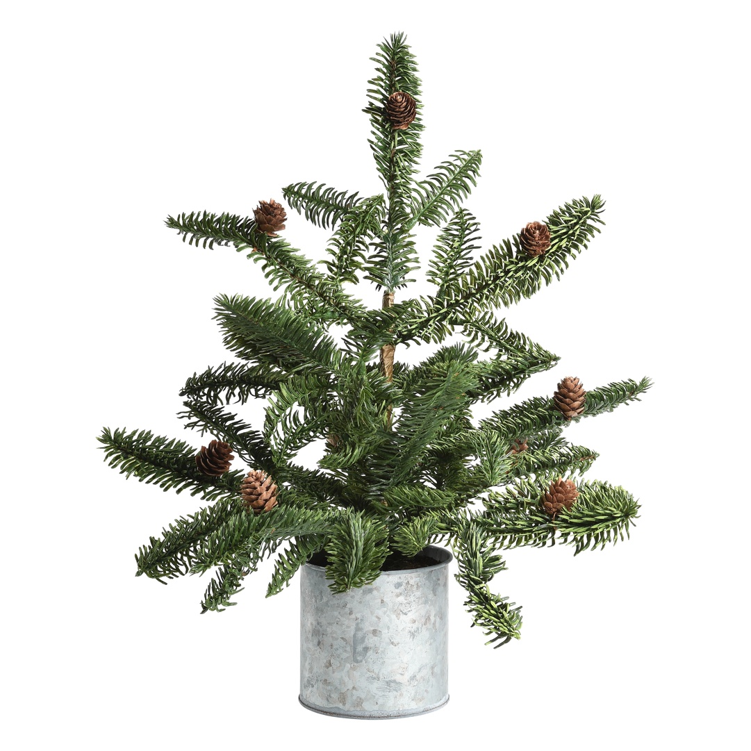 Rustic Potted Pine Medium