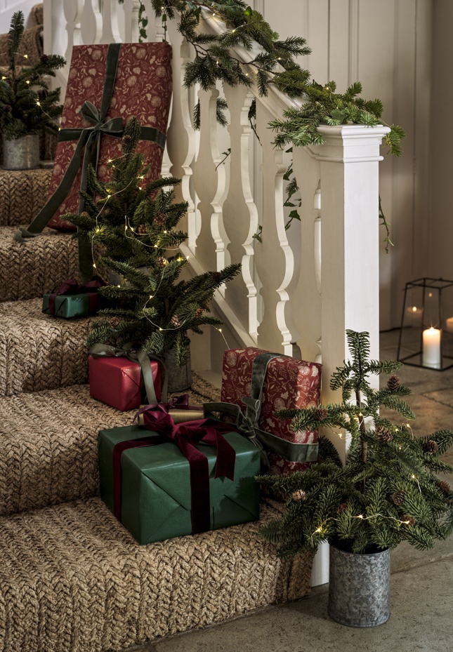 Rustic Potted Pine Trees