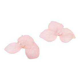 Hydrangea Flower Studs in Pink