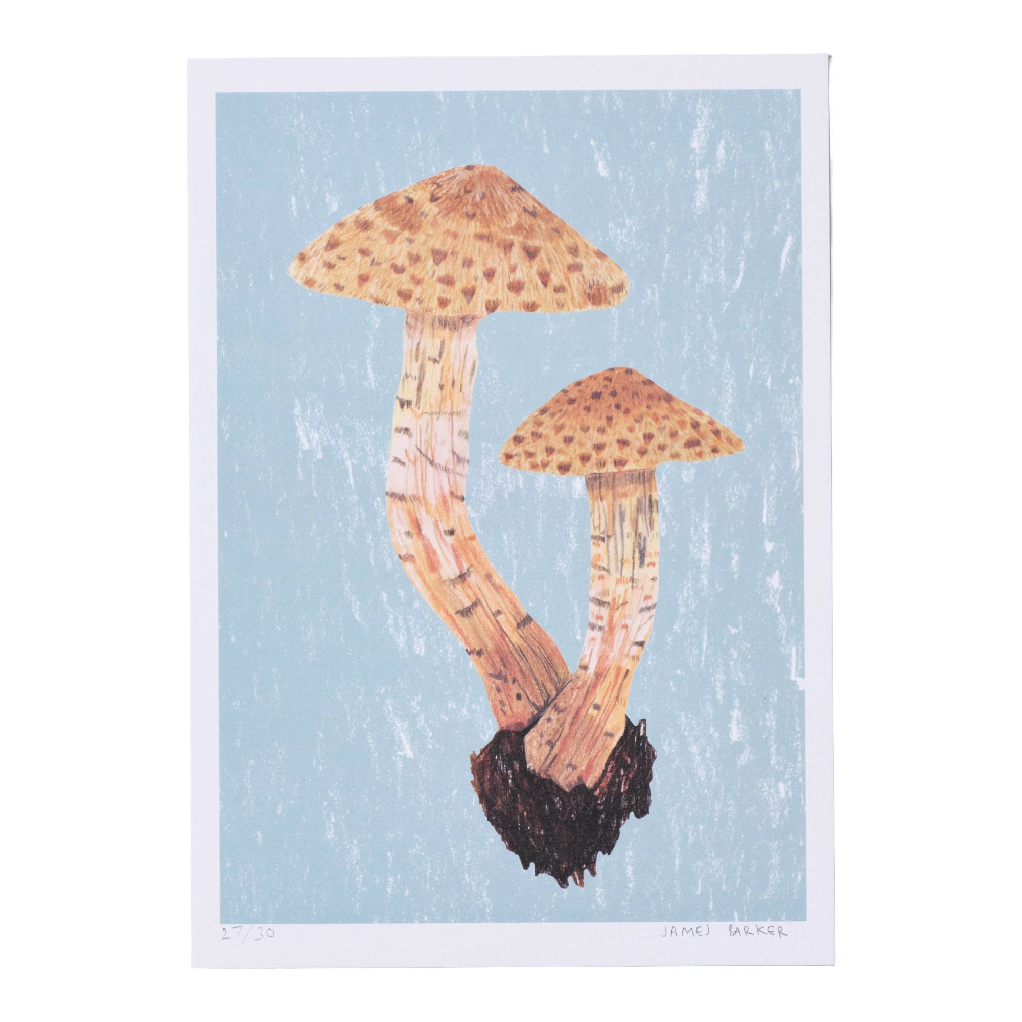 Brown Speckled Mushroom Print A5