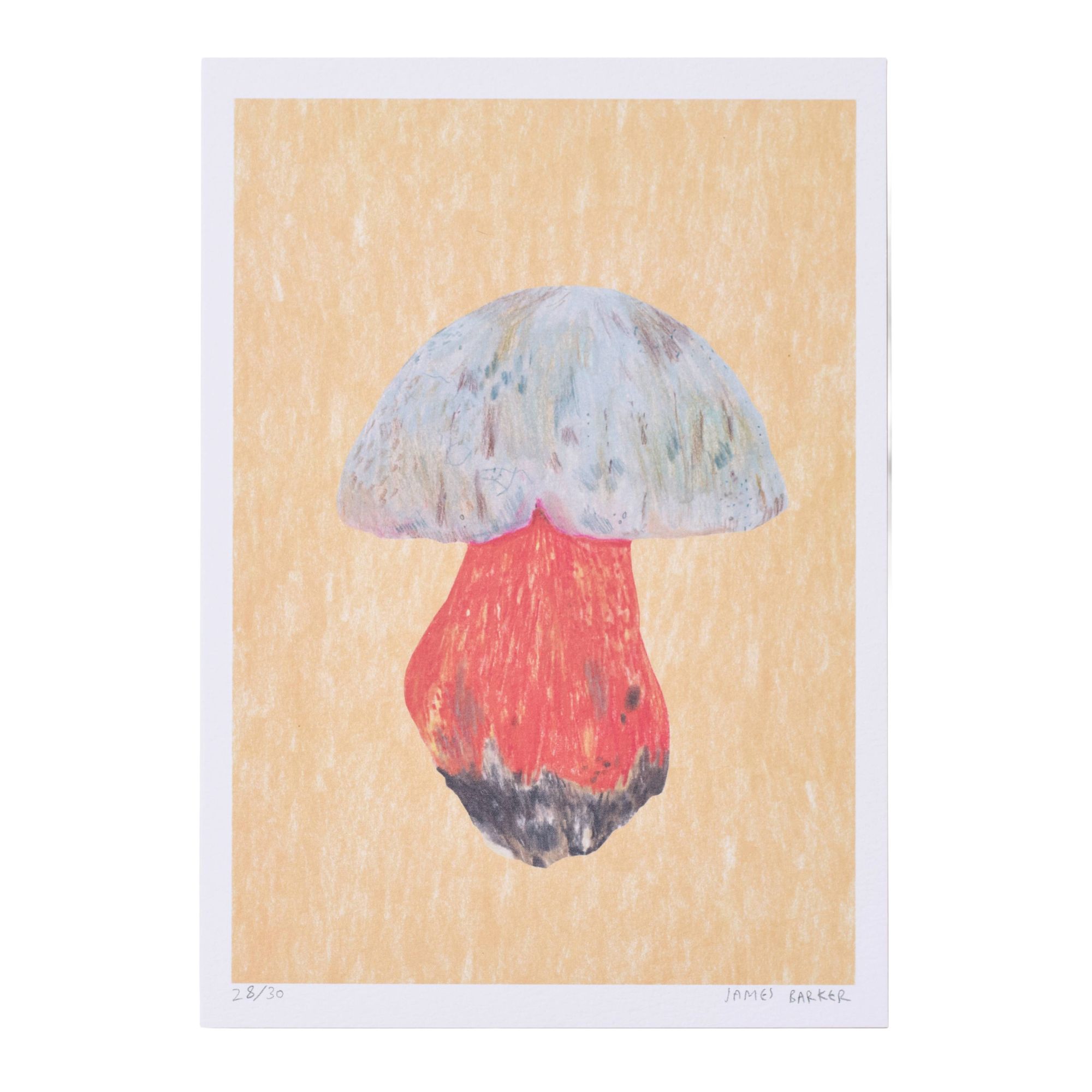 White Capped Mushroom Print A5