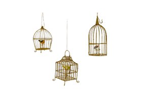 Gilded Birdcages