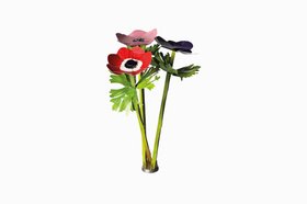 Paper Anemones