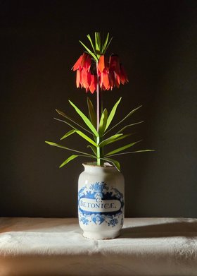 Paper Crown Imperial Flowers