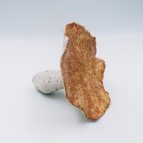 Handmade Ceramic Mushrooms - Oyster