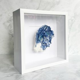 Coastal Wall Art of A Handcrafted Porcelain Glazed Shell: Still Waters