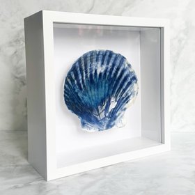 Beach Art of Handcrafted Porcelain Glazed Shells: Tidal Echoes