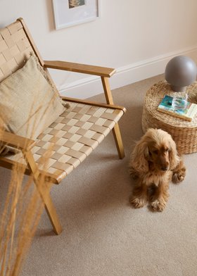 Cormar Carpet Pembroke in the shade Cashmere